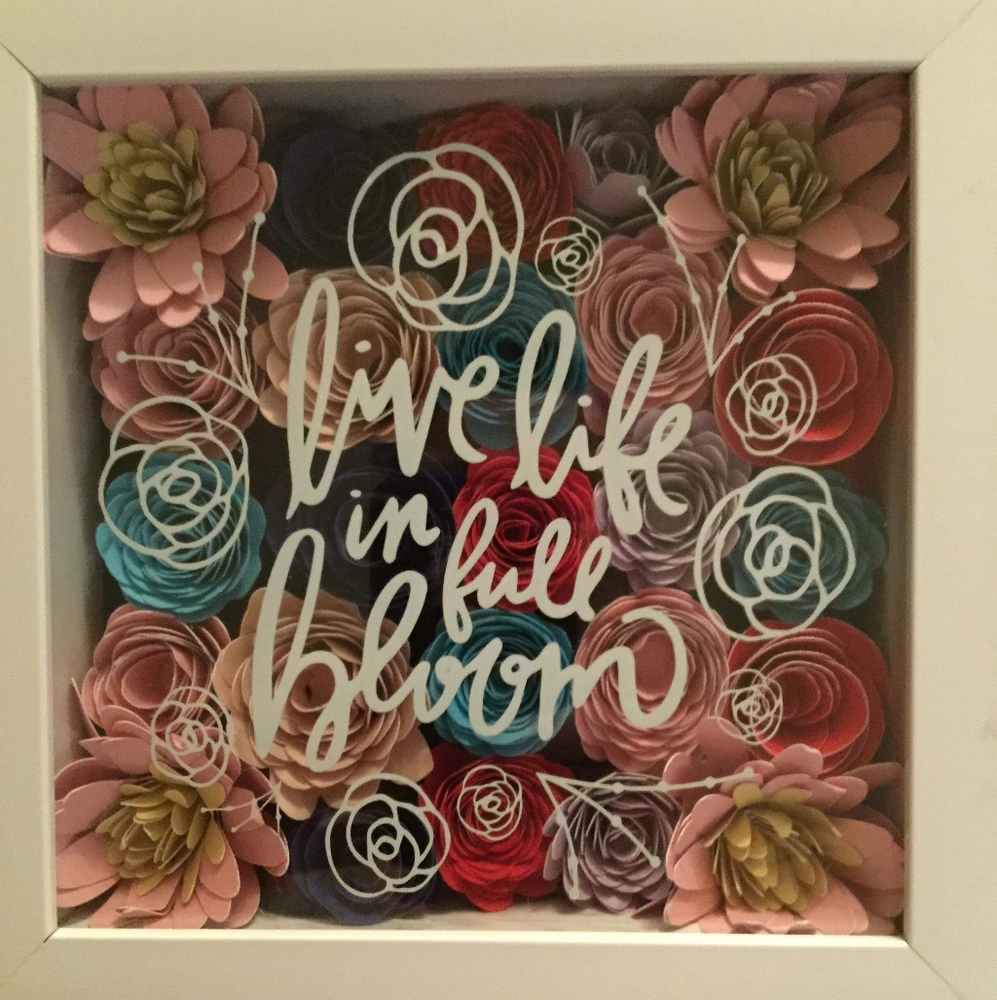 Custom made spring shadow box